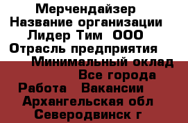 Мерчендайзер › Название организации ­ Лидер Тим, ООО › Отрасль предприятия ­ BTL › Минимальный оклад ­ 17 000 - Все города Работа » Вакансии   . Архангельская обл.,Северодвинск г.